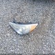 5NPEC4AB1CH399285 2012 Hyundai Sonata Limited 2.0T auction photo thumbnail 12