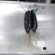 5FNYF28238B022767 2008 Honda Pilot Vp auction photo thumbnail 11