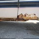1FTZX17W4WNA61558 1998 Ford F-150 Lariat/Standard/Xl/Xlt auction photo thumbnail 12