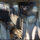 5FNRL38626B004151 2006 Honda Odyssey Ex-L auction photo thumbnail 8
