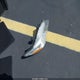 4T1BF1FKXHU687414 2017 Toyota Camry Xle auction photo thumbnail 12