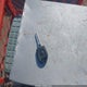 3VWRZ71K78M016319 2008 Volkswagen Jetta Se/Sel auction photo thumbnail 11