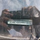 2C4RC1GG5HR822012 2017 Chrysler Pacifica Limited auction photo thumbnail 9