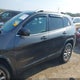 1C4PJMDS3GW360319 2016 Jeep Cherokee Limited auction photo thumbnail 14
