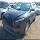 1C4PJMDS3GW360319 2016 Jeep Cherokee Limited auction photo thumbnail 2