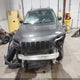 1C4PJMDX8KD337781 2019 Jeep Cherokee Limited 4X4 auction photo thumbnail 12