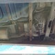 1FMEU51847UA08421 2007 Ford Explorer Sport Trac Xlt auction photo thumbnail 19