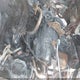 JF2SHAEC1BH723078 2011 Subaru Forester 2.5X Limited auction photo thumbnail 10