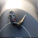 JS2YA413085101267 2008 Suzuki Sx4 Convenience Regional Edition/Regional Edition/Touring 2 Regional Edition auction photo thumbnail 11