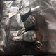 1B3LC56R98N626007 2008 Dodge Avenger Sxt auction photo thumbnail 11