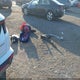 KM8JFCD12RU189601 2024 Hyundai Tucson Hybrid N Line auction photo thumbnail 11
