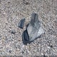 1GCHTBEA7H1257931 2017 Chevrolet Colorado Wt auction photo thumbnail 12