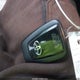 JTELU5JR5R6224902 2024 Toyota 4Runner Trd Pro auction photo thumbnail 11