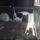 3C6TRVCG9LE131195 2020 Ram Promaster 2500 High Roof 136 Wb auction photo thumbnail 8