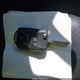 1VWAT7A37FC075506 2015 Volkswagen Passat 1.8T Limited Edition auction photo thumbnail 11
