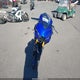 MH3RH25E4SK002097 2025 Yamaha Yfz320 A auction photo thumbnail 5