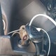 1C4BJWDG1CL229998 2012 Jeep Wrangler Unlimited Sport auction photo thumbnail 11