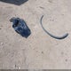 4T3LWRFVXSU191752 2025 Toyota Rav4 Hybrid Le auction photo thumbnail 12