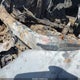 1HGCV2F99MA015369 2021 Honda Accord Touring auction photo thumbnail 9