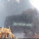 JN8AS5MV3AW144890 2010 Nissan Rogue Sl auction photo thumbnail 9