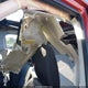 JF2SH6CCXAH716368 2010 Subaru Forester 2.5X Premium auction photo thumbnail 6