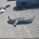 JHMCD5630VC015313 1997 Honda Accord Lx auction photo thumbnail 11