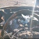 KNDJP3A53E7092568 2014 Kia Soul + auction photo thumbnail 7