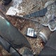 KNAFX4A84E5077527 2014 Kia Forte Ex auction photo thumbnail 11