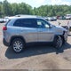 1C4PJMDS7HW618844 2017 Jeep Cherokee Limited 4X4 auction photo thumbnail 13