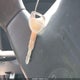 4S2CK58W2X4375148 1999 Isuzu Rodeo Ls/Lse/S 3.2L auction photo thumbnail 11