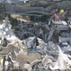 1C4NJRBB2ED892760 2014 Jeep Patriot Sport auction photo thumbnail 10