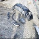 5NMS2CAD7KH011599 2019 Hyundai Santa Fe Se auction photo thumbnail 12