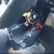 KNDPMCACXK7543279 2019 Kia Sportage Lx auction photo thumbnail 6