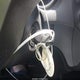 JHMGE88449S056254 2009 Honda Fit Sport auction photo thumbnail 11