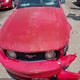 1ZVFT82HX75231775 2007 Ford Mustang Gt Deluxe/Gt Premium auction photo thumbnail 12