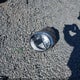 3VW5DAAT6JM506582 2018 Volkswagen Beetle 2.0T Coast/2.0T S/2.0T Se auction photo thumbnail 12