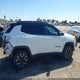 3C4NJDDB3LT108853 2020 Jeep Compass Trailhawk 4X4 auction photo thumbnail 14