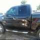 1FTPW14VX7FA35340 2007 Ford F-150 Fx4/Lariat/Xlt auction photo thumbnail 14