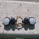 3JB2FEF26MJ000489 2021 Can-Am Ryker auction photo thumbnail 11