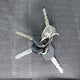 1J4FJ68S8WL221881 1998 Jeep Cherokee Classic/Sport auction photo thumbnail 11