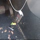 1C4RJFAG5LC290984 2020 Jeep Grand Cherokee Laredo E 4X4 auction photo thumbnail 11