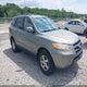5NMSG13D77H108988 2007 Hyundai Santa Fe Gls auction photo thumbnail 1