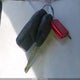 1FTKR1EE8BPB03878 2011 Ford Ranger Xlt auction photo thumbnail 11