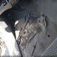 5TENX22N26Z273696 2006 Toyota Tacoma auction photo thumbnail 19