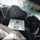 1G6DE5E54D0161268 2013 Cadillac Cts Luxury auction photo thumbnail 7