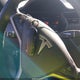 5YJSA1E27JF291539 2018 Tesla Model S auction photo thumbnail 11