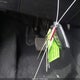 JA4T5VA91RZ063071 2024 Mitsubishi Outlander Phev Se Ralliart/Se S-Awc auction photo thumbnail 11