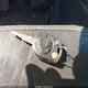 3FAHP0JAXAR351110 2010 Ford Fusion Sel auction photo thumbnail 11
