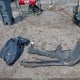 1N4AL11D55C339058 2005 Nissan Altima 2.5 S auction photo thumbnail 12