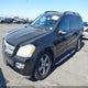 4JGBF71E17A172063 2007 Mercedes-Benz Gl 450 4Matic auction photo thumbnail 2